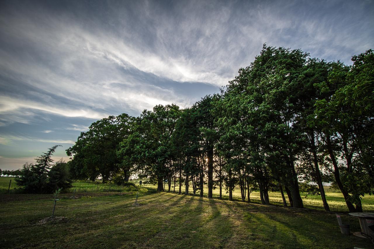 Agriturismo Biologico Sant'Egle San Quirico  Zewnętrze zdjęcie