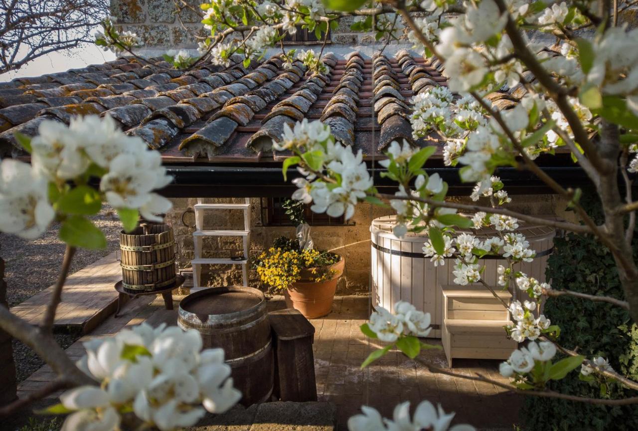 Agriturismo Biologico Sant'Egle San Quirico  Zewnętrze zdjęcie